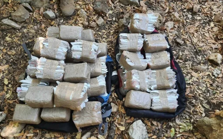 Задержание члена ОПГ с наркотиками в России — nicetry.blog