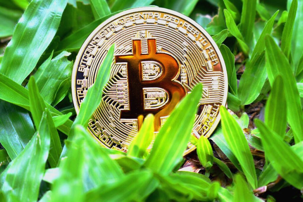 Государственный фонд Бутана и биткоины — nicetry.blog