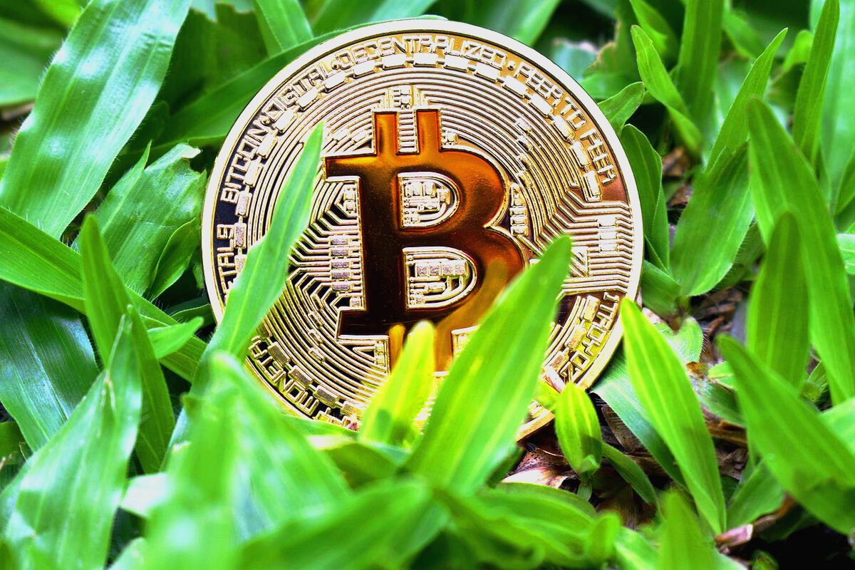 Государственный фонд Бутана и биткоины — nicetry.blog