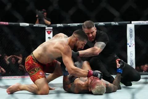Топурия против Оливейры UFC 317 — nicetry.blog