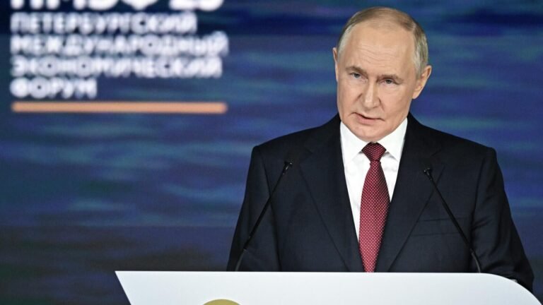 Цифровые платформы и их регулирование в России — nicetry.blog