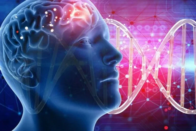 Психогенетика: как гены и воспитание влияют на поведение - nicetry.blog