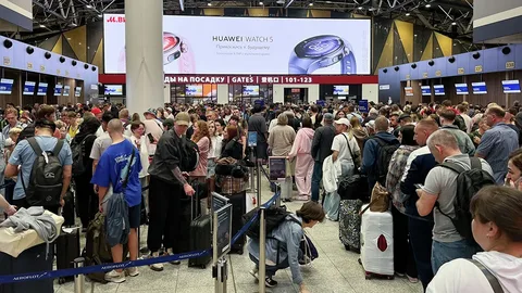 Задержки рейсов в московских и петербургских аэропортах - nicetry.blog