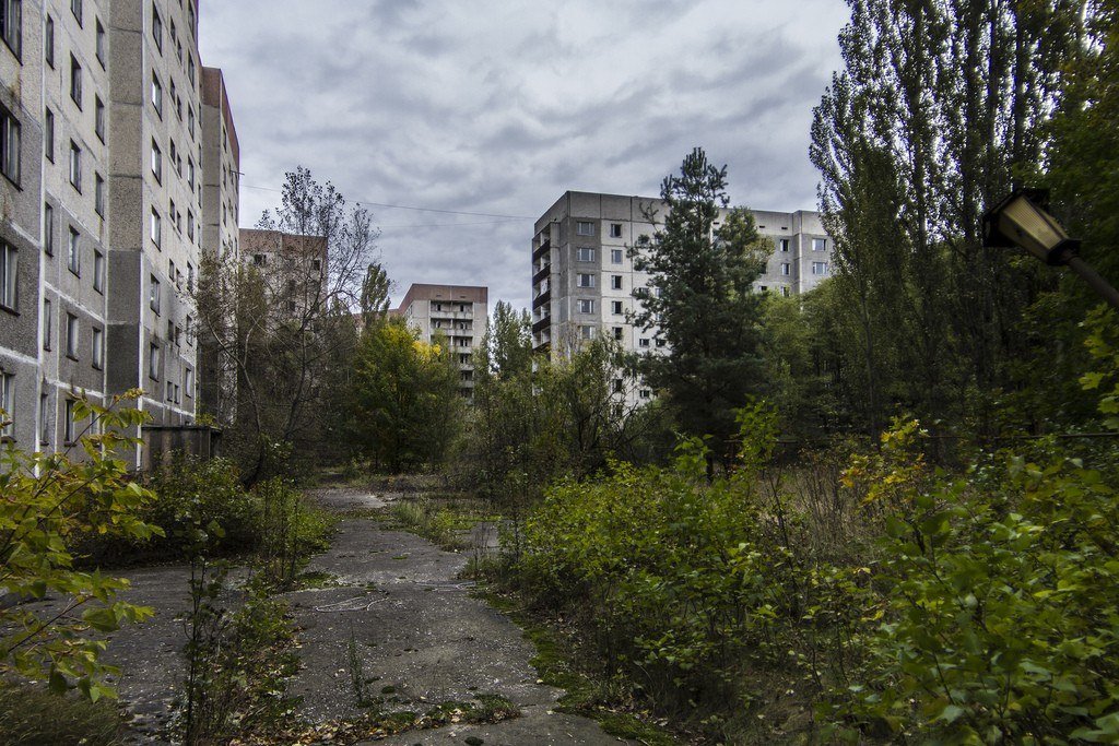 Припять: как природа возвращает улицы — города без людей - nicetry.blog